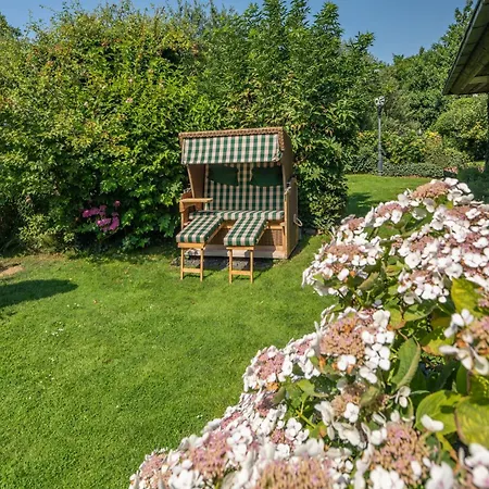 Moewennest * Norderney